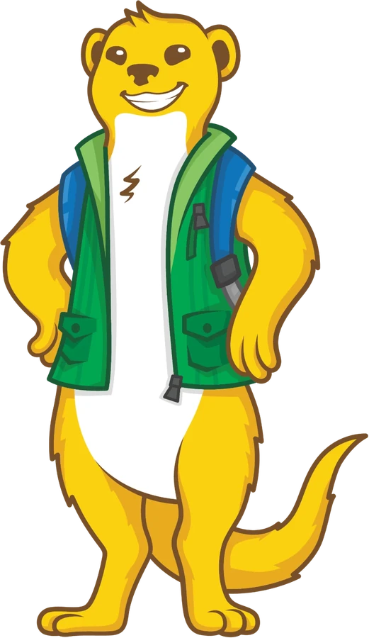 Joy the meerkat